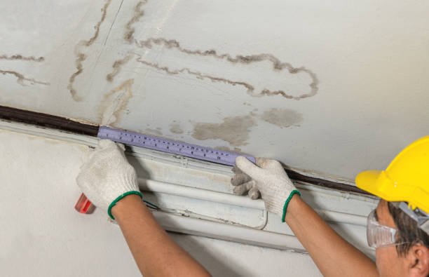 Reliable Basement Water Removal contractor in Princeton, IN by Water Damage Irwin